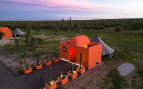 K Naj Community Glamping